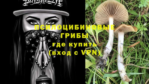 МДПВ Михайловка