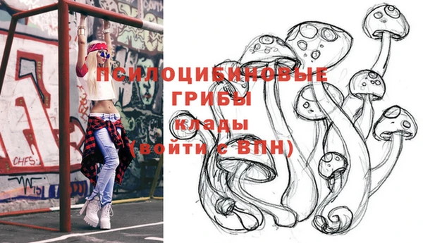твердый Михайлов