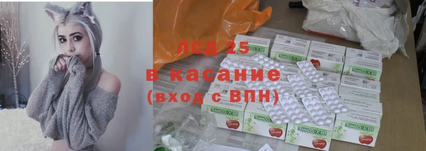 твердый Михайлов