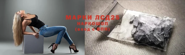 твердый Михайлов