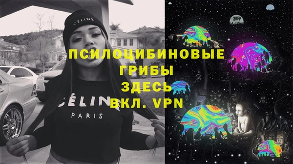твердый Михайлов