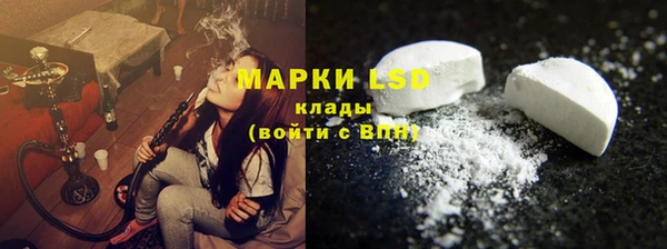 твердый Михайлов