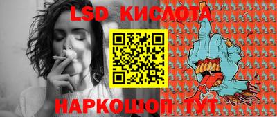 спайс Владимир