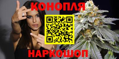 гидра Брянск