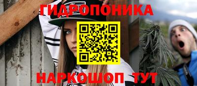 дурь Боровичи