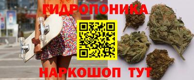 mdpv Братск
