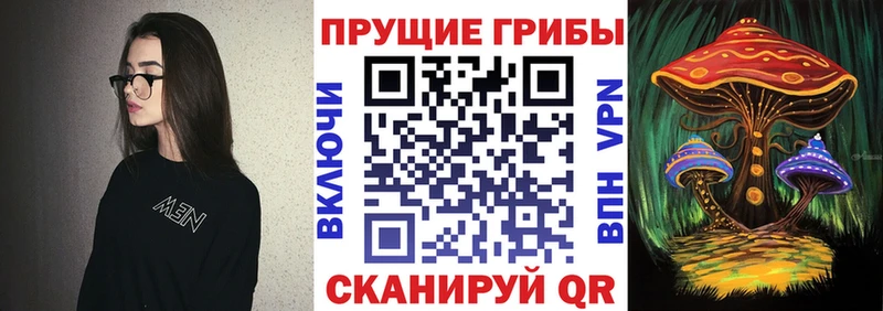 Псилоцибиновые грибы Psilocybe  гидра маркетплейс  Янаул 